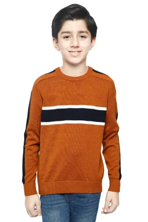 Boys Sweaters In Brown SKU: KBE-0171-BROWN