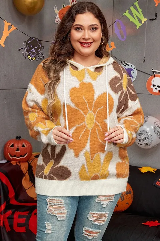 Curvy Knitted Drawstring Hooded Sweater