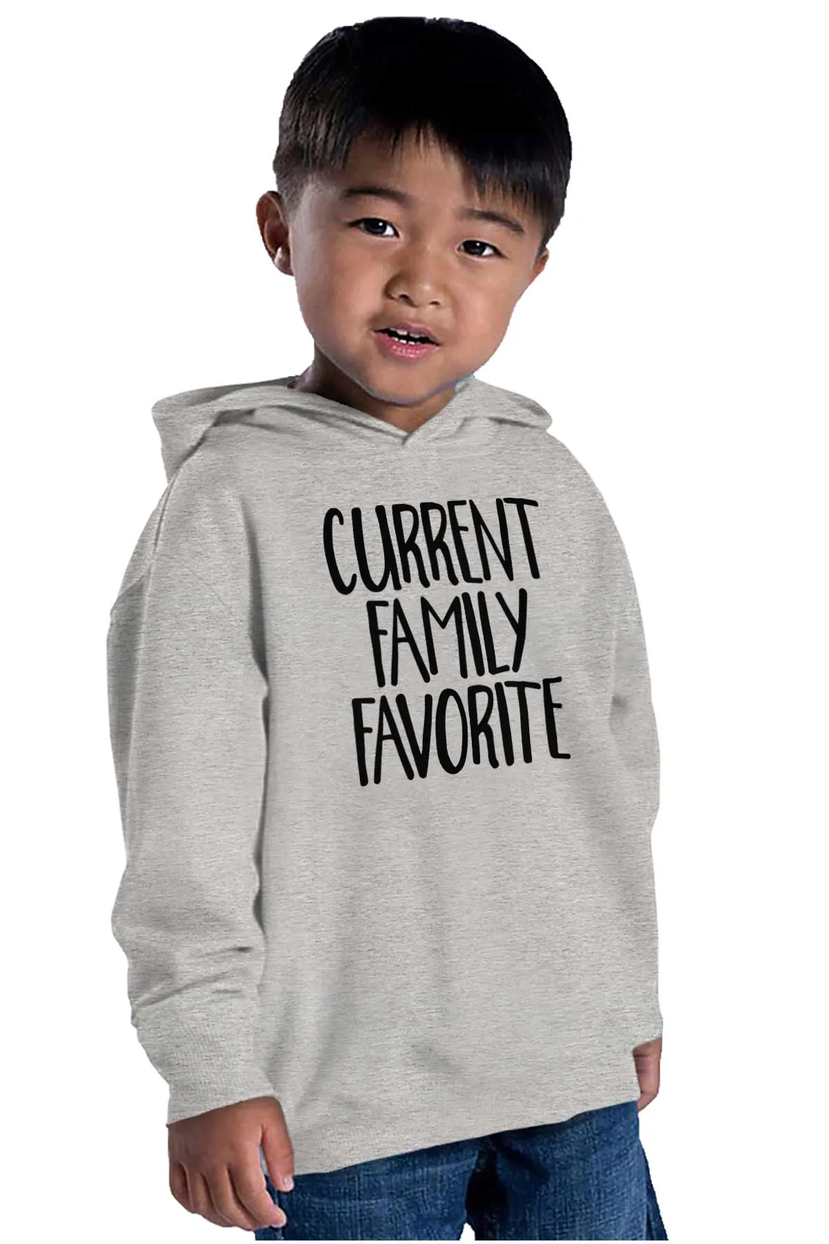 Family Favorite Toddler Pullover Hoodie