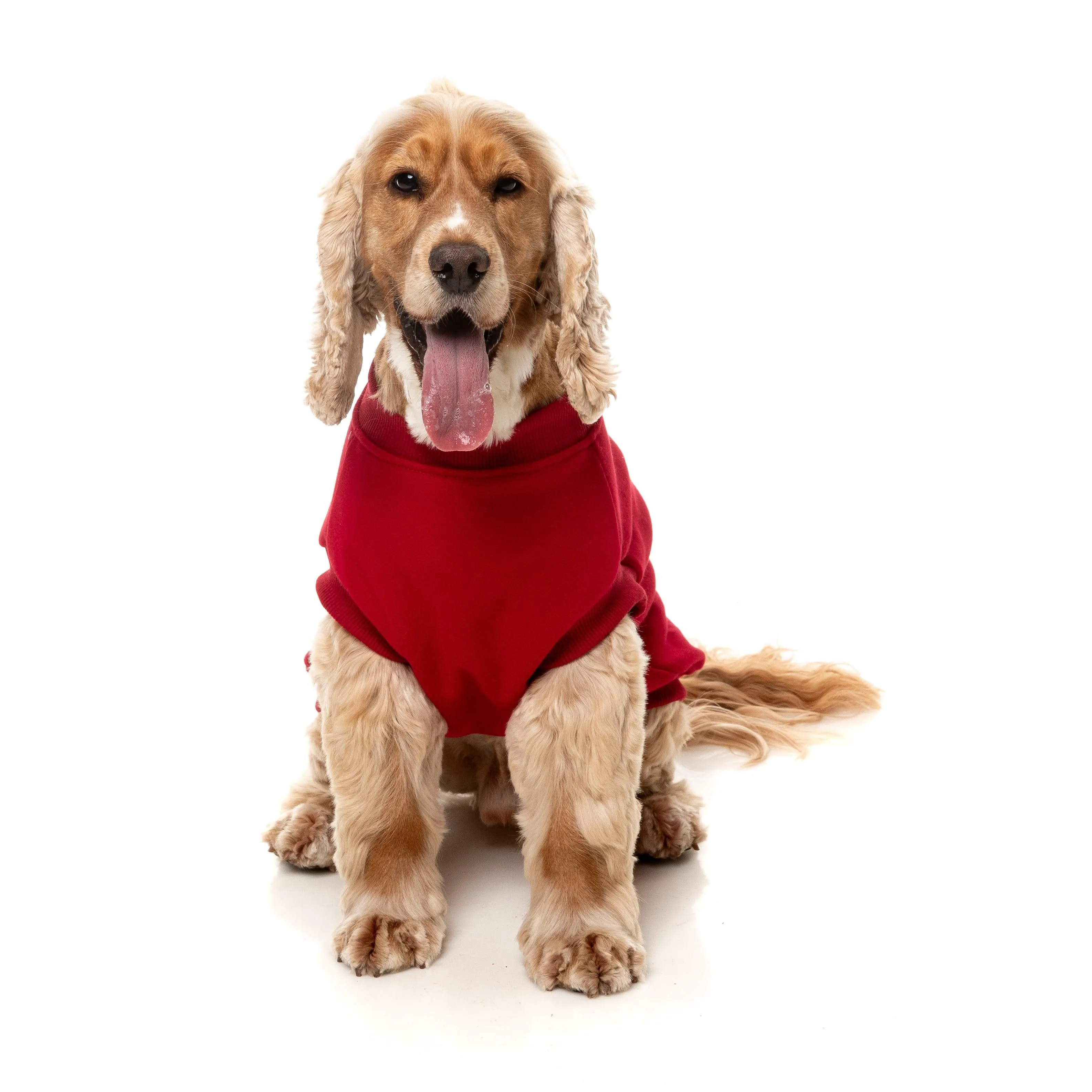 FuzzYard Dog Apparel Allday 25 Sweater Red Size 2
